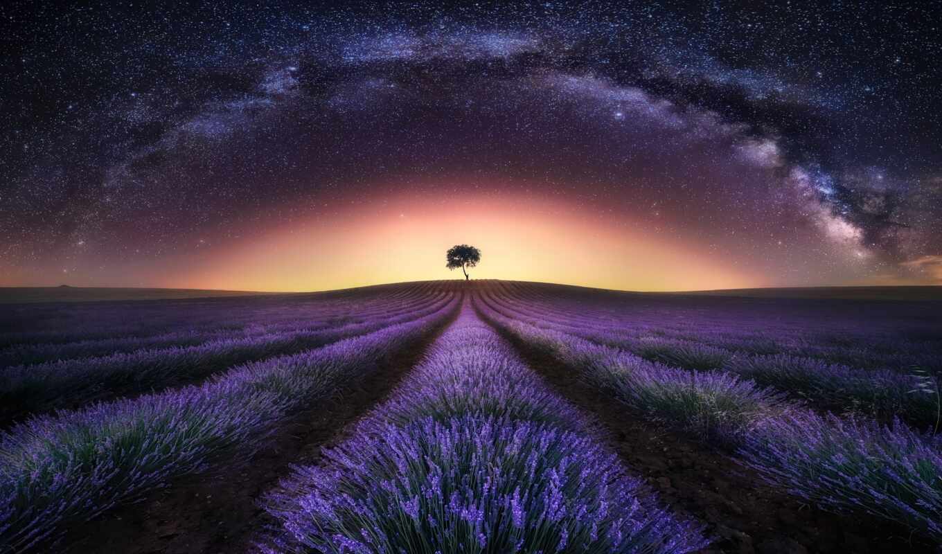 sky, sunset, night, field, space, landscape, author, star, milky, way, lavender