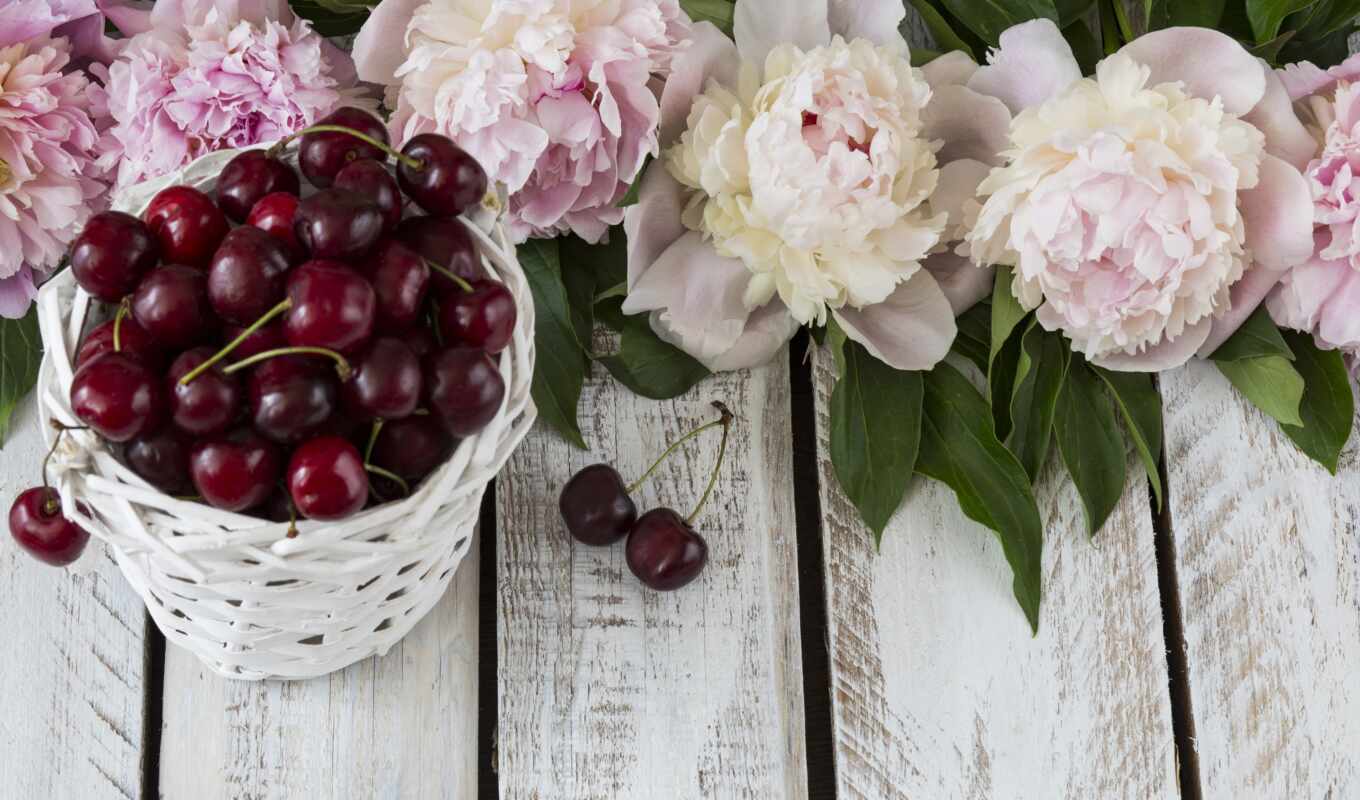 цветы, cherry, розовый, wood, пион