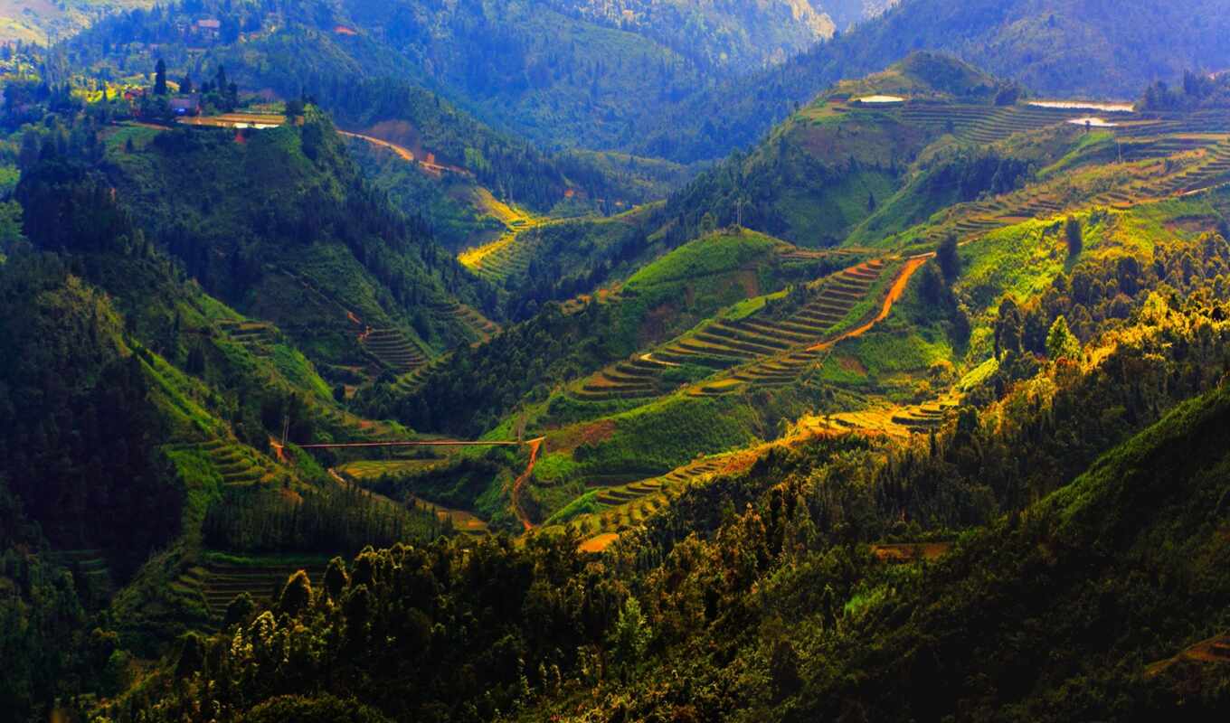 mountain, field, vietnam