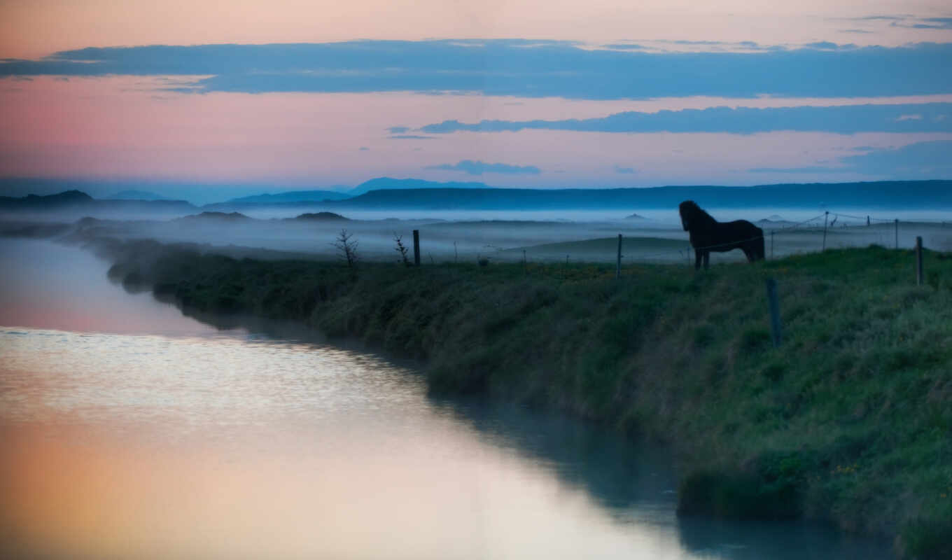 озеро, лошадь, water, landscape, река, туман