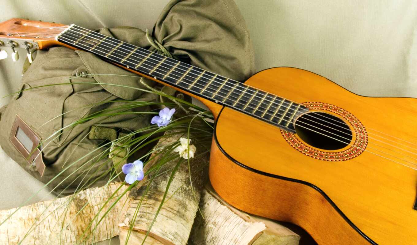 flowers, romance, guitar, backpack