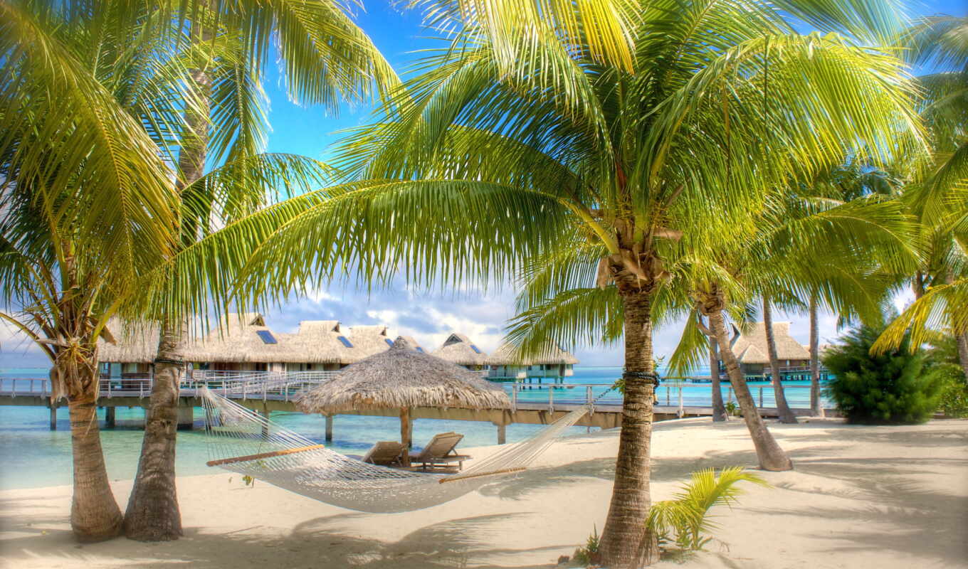 large format, beach, sea, sand, palm trees, bungal, gamb
