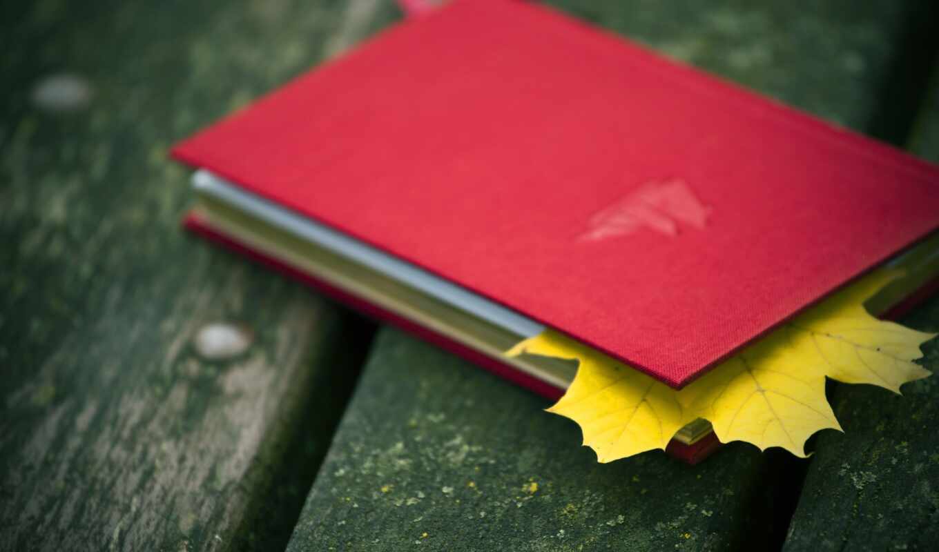 sheet, book, red, grass, autumn, maple, mood, bookmark, notepad, previe, klnyi
