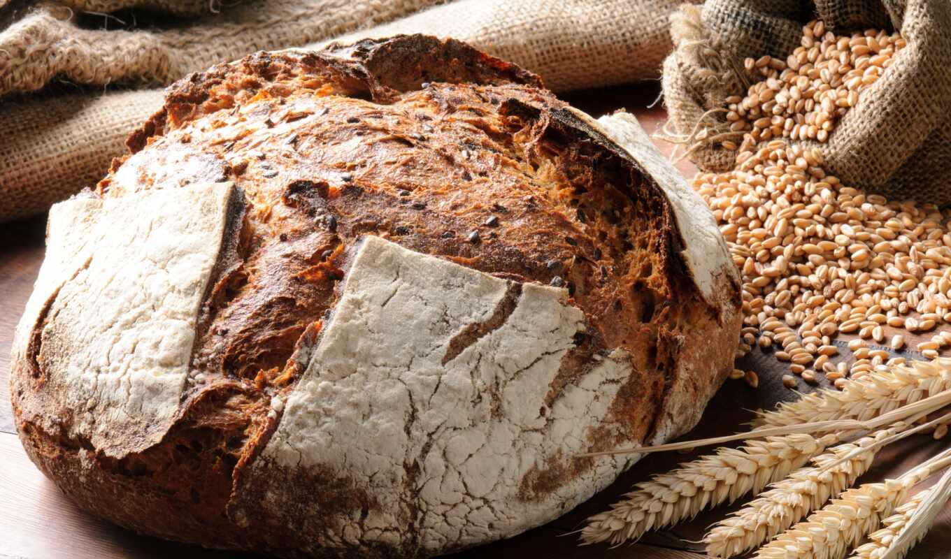 day, bread, rye, product, production