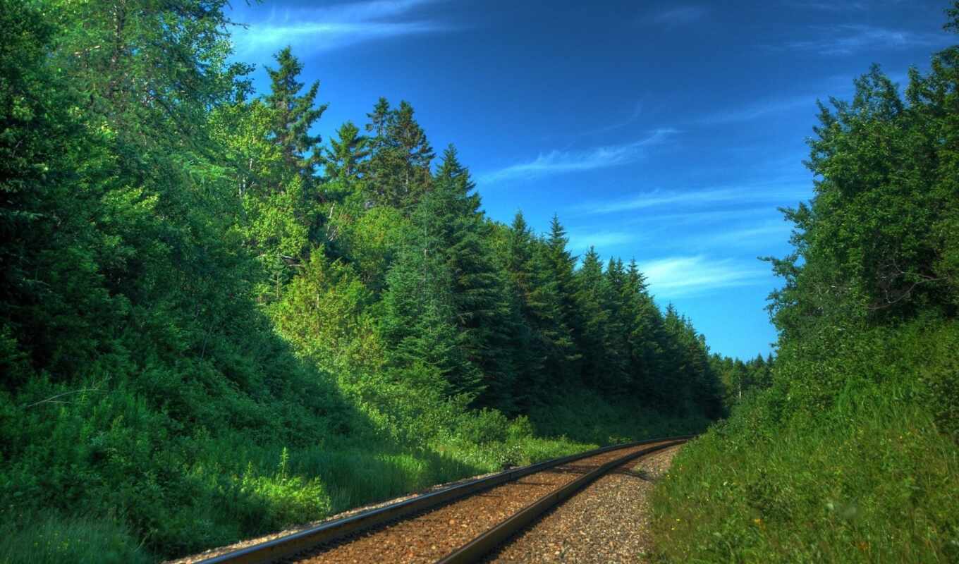 дорога, поезд, дороги, trees, железная, пути, рельсы, поезда, шпалы