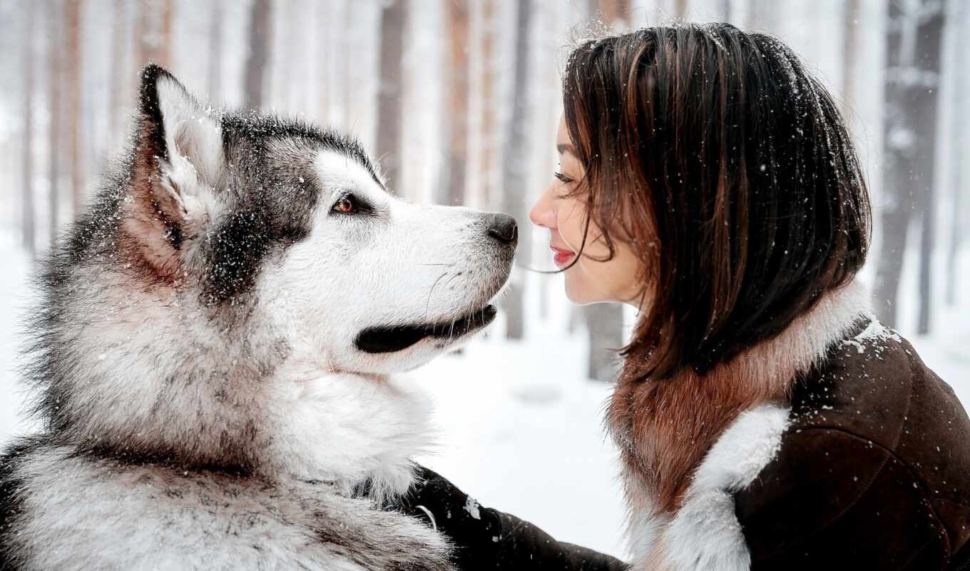 photo, girl, picture, correct, husky, animal, mouse, button, could