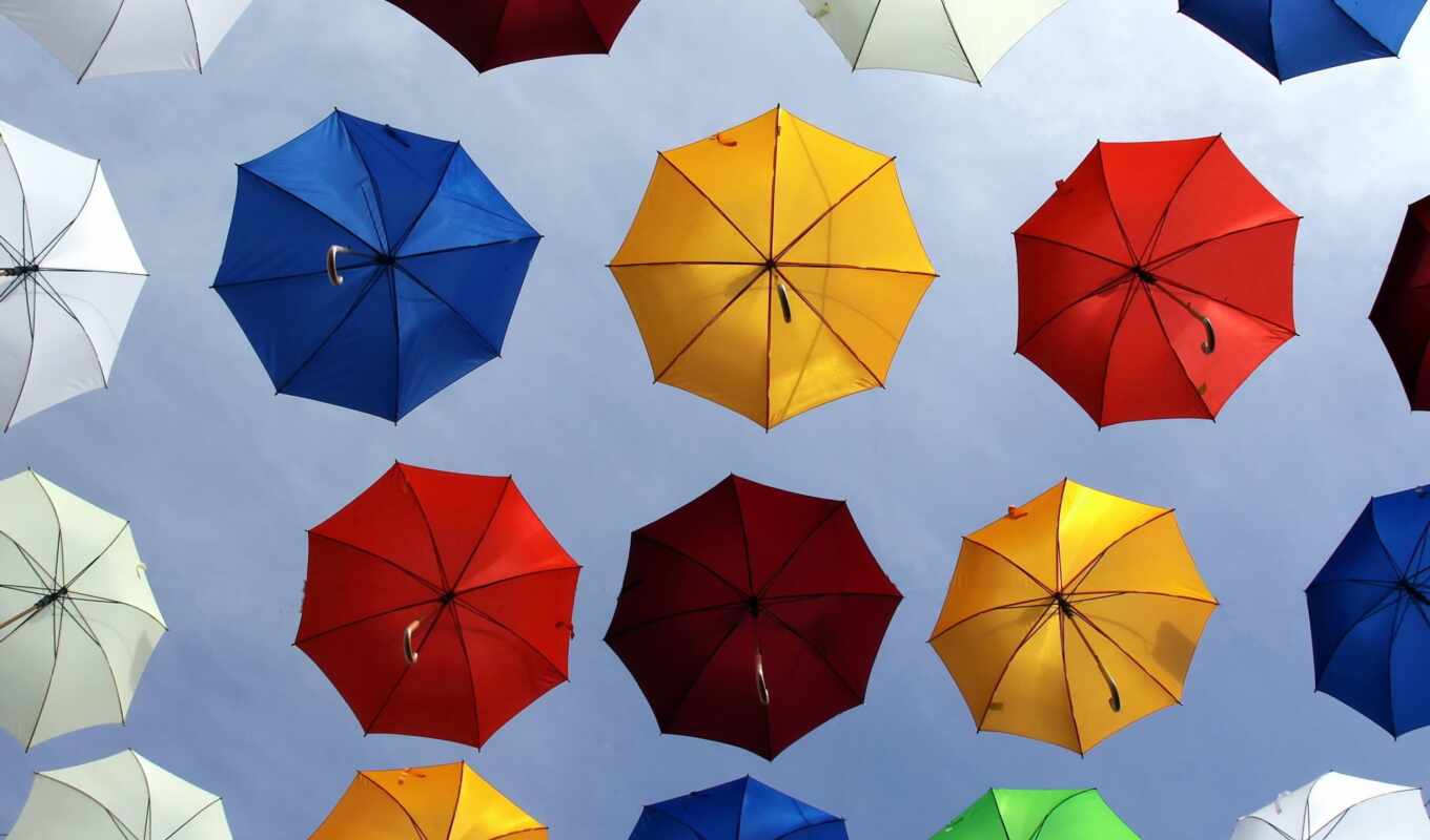 umbrella, many