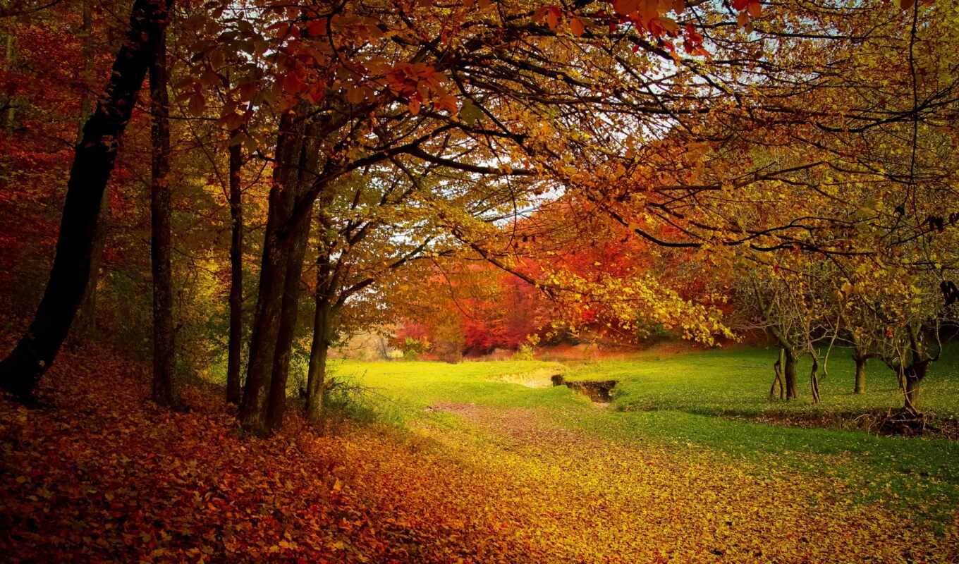 nature, landscape, autumn, season