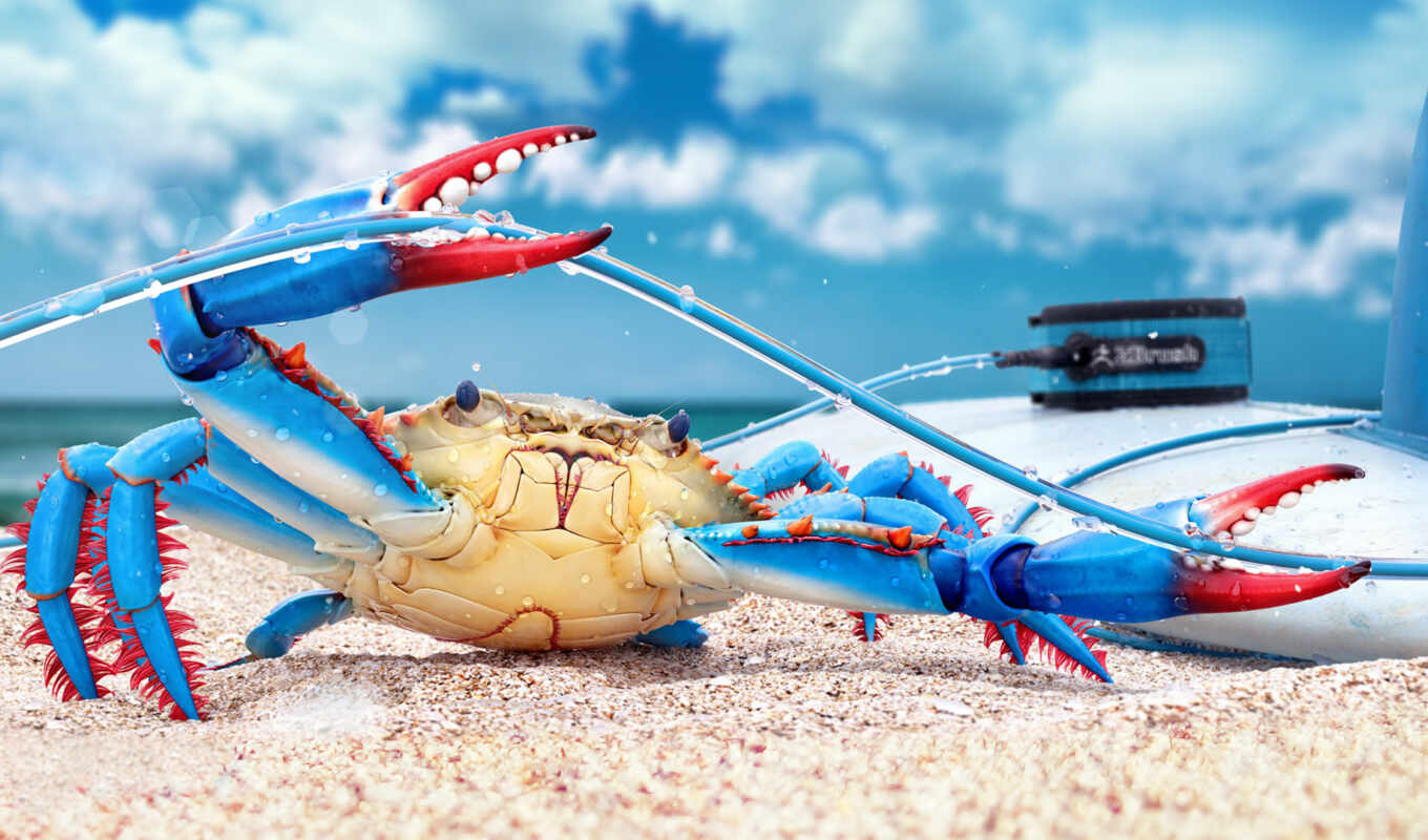 art, blue, digital, rendering, fresh, cheap, crab, рендер