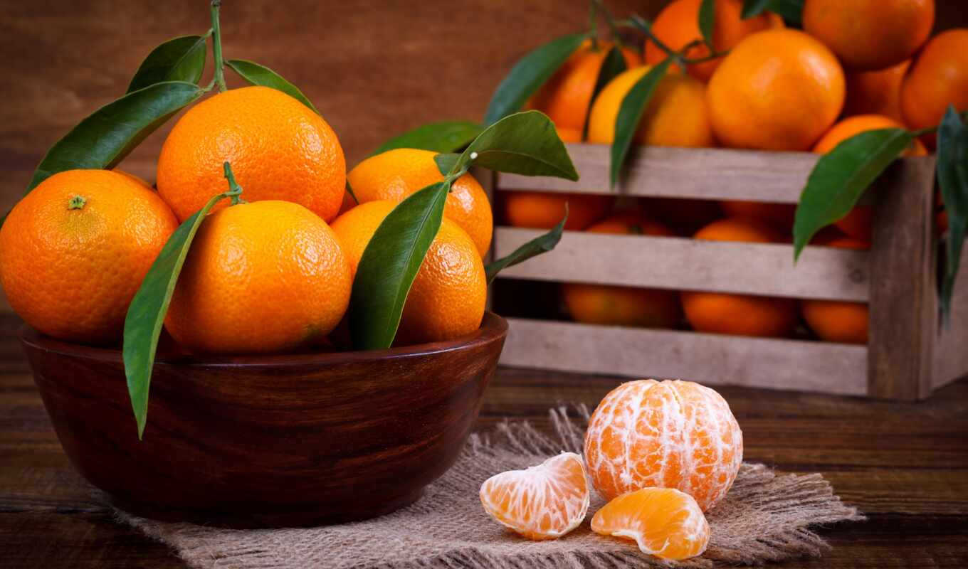 meal, tangerine