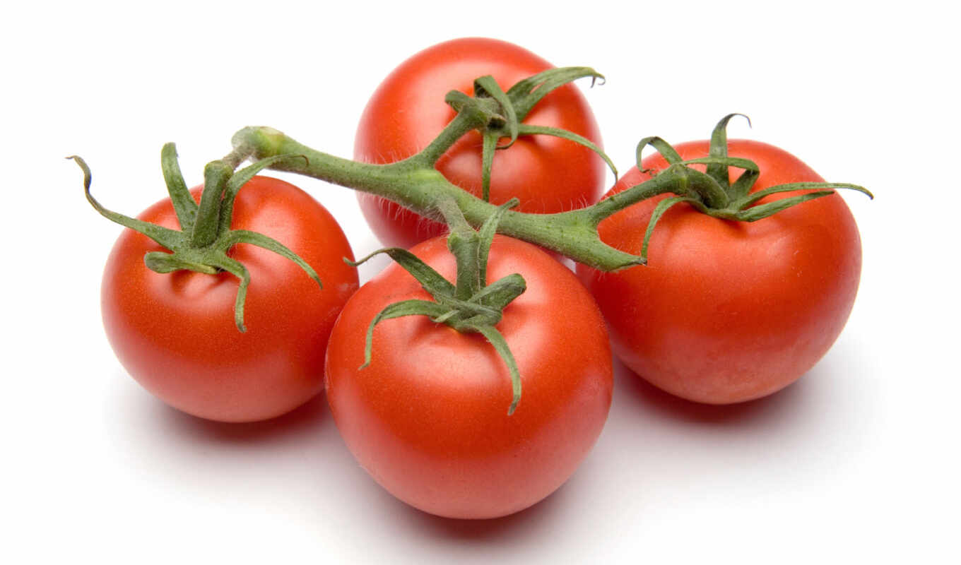 tomato, tomato