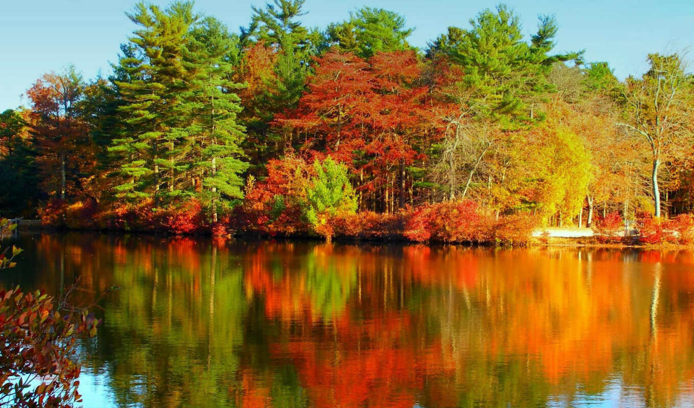 озеро, природа, картинку, обоями, лес, picture, палитра, размере, водная, гладь, осень, осени, природы, краски, просмотреть, реальном