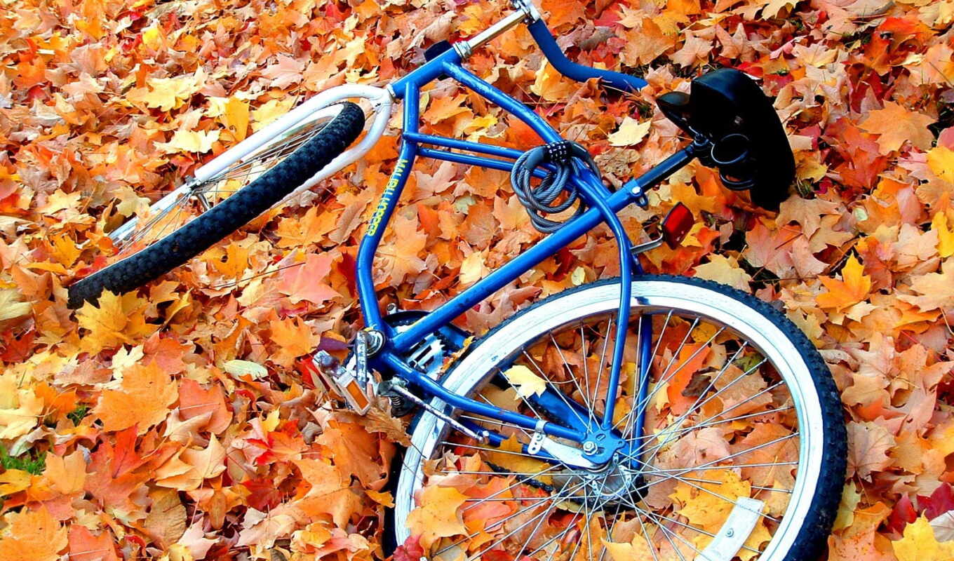 осень, велосипед, велосипеде