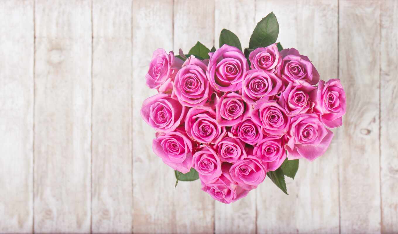 цветы, роза, сердце, розовый, день, valentine, premium, rosa, shape, гуль, gullar