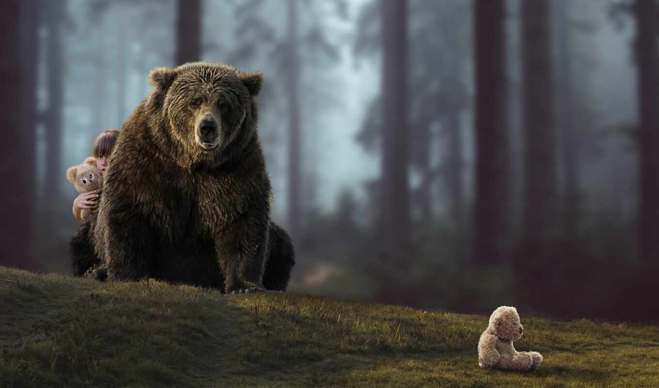 браун, медведь