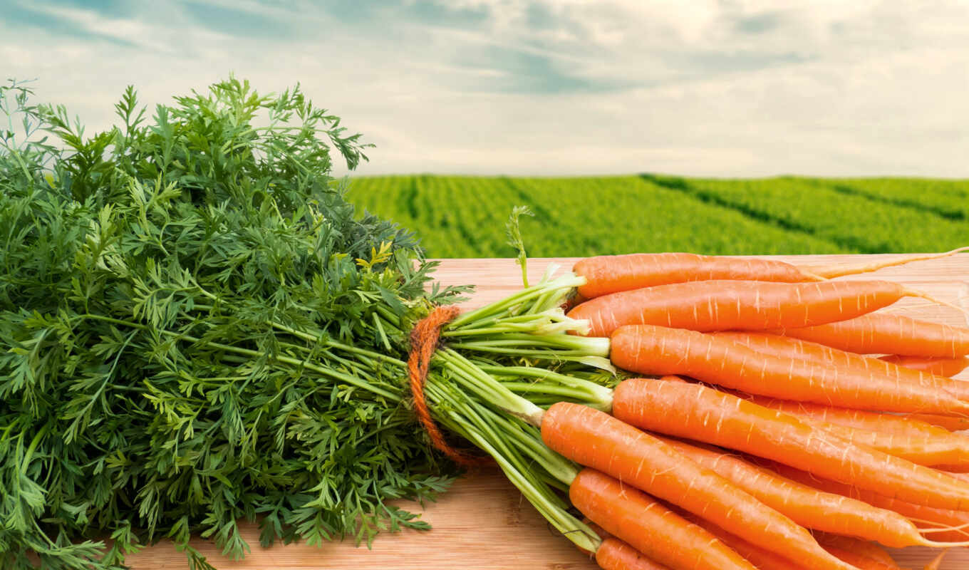 еда, ха, морковь, производить, моркови