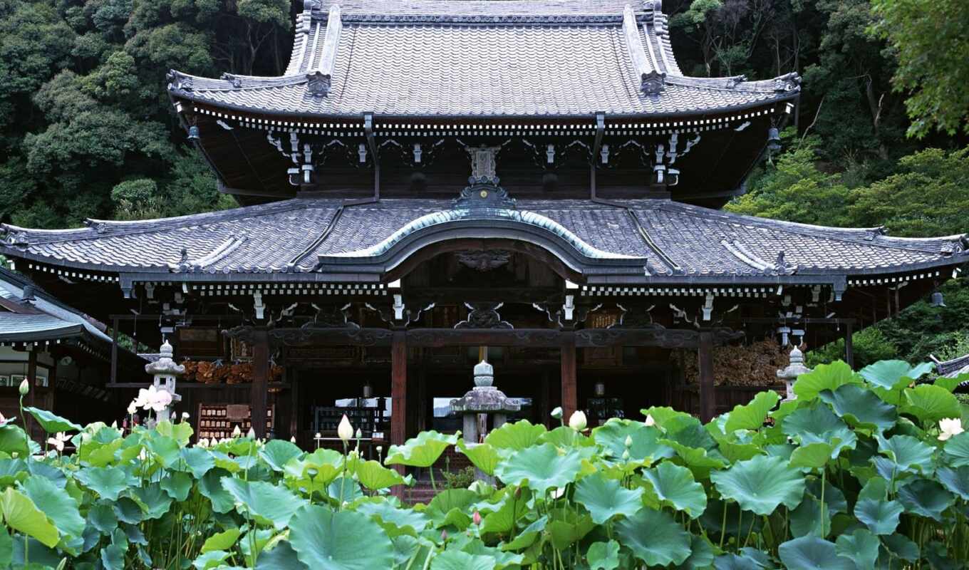 город, храм, japanese, garden, roy, япония, kyoto, publish, publicada, mimuroto, ching