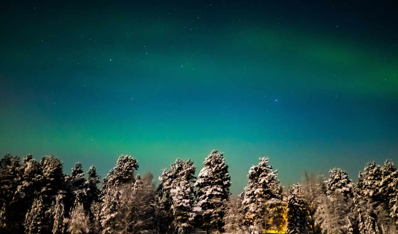 lights, aurora, northern, the, lapland, the thing, borealis, dive, Finland, 1 1 1 1 1 1 1 1 1 1 1 1 1 1 1 1 1 1 1 1 1 1 1 1 1 1 1 1 1 1 1 1