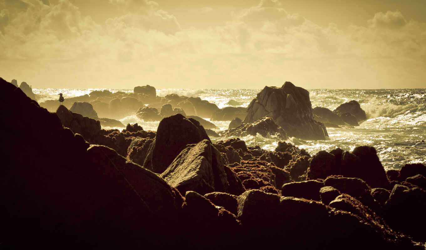 coast, sunset, landscape, cloud, ocean, rocks, pájaros, olas