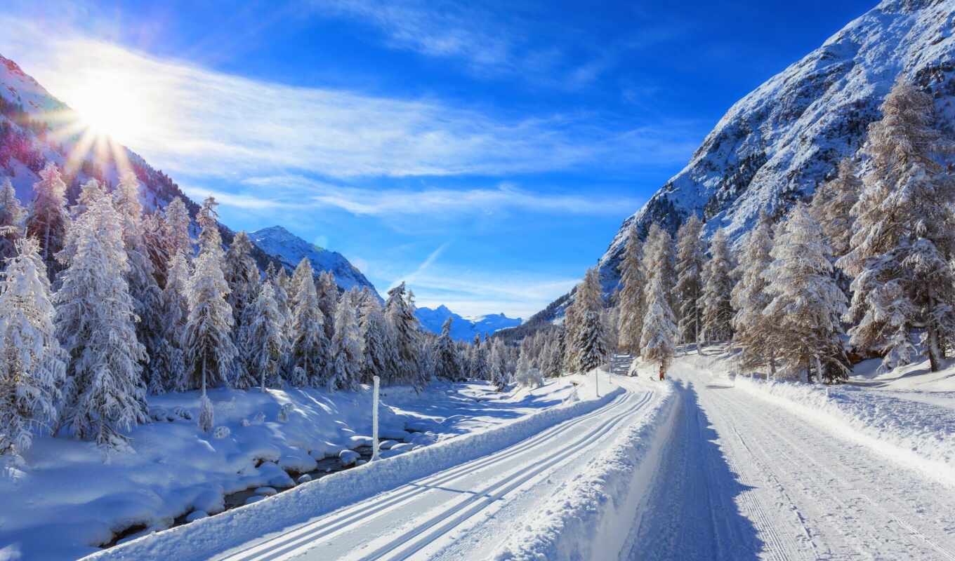 nature, sun, snow, winter, road, christmas trees, cars, butts