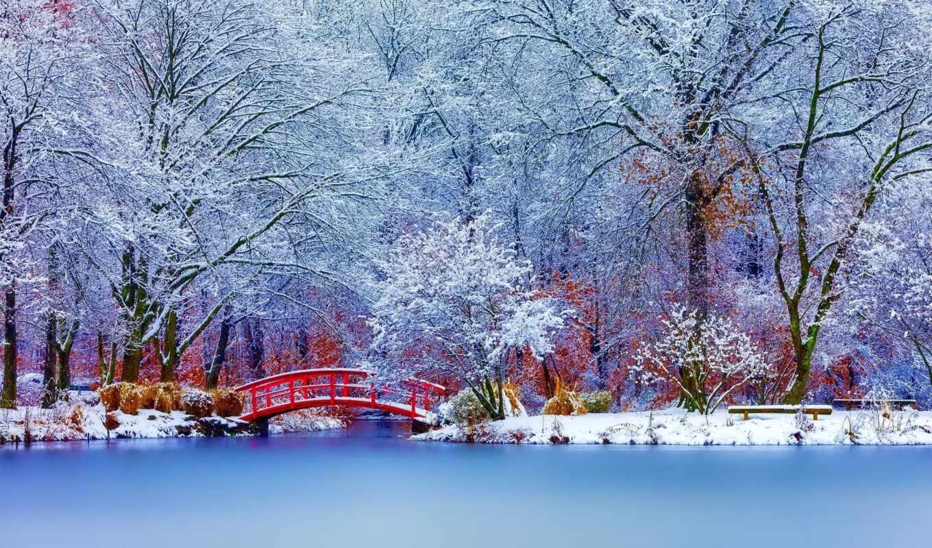 природа, снег, красивые, winter, landscape, trees