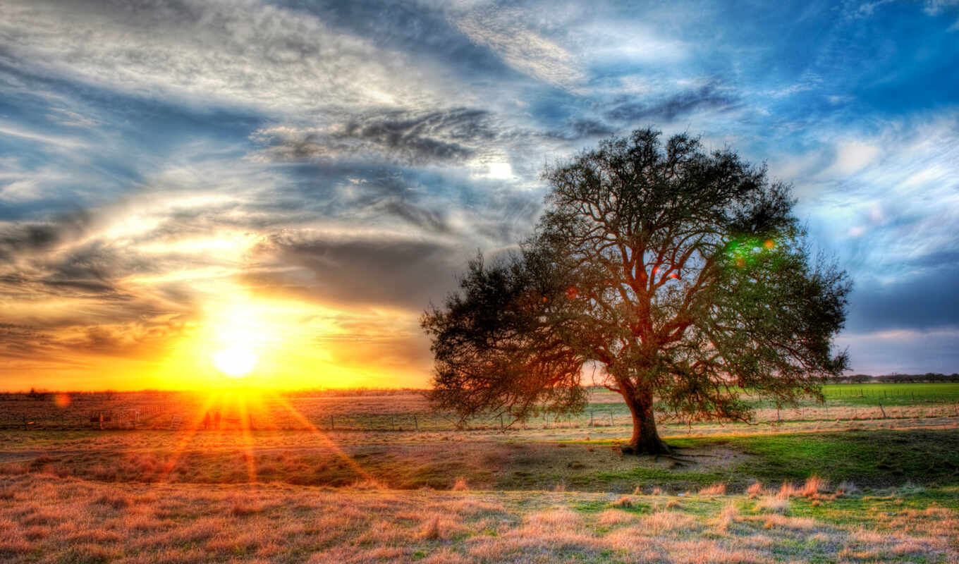 природа, небо, sun, дерево, закат, landscape, облако, восход, взлёт, ферма, texas