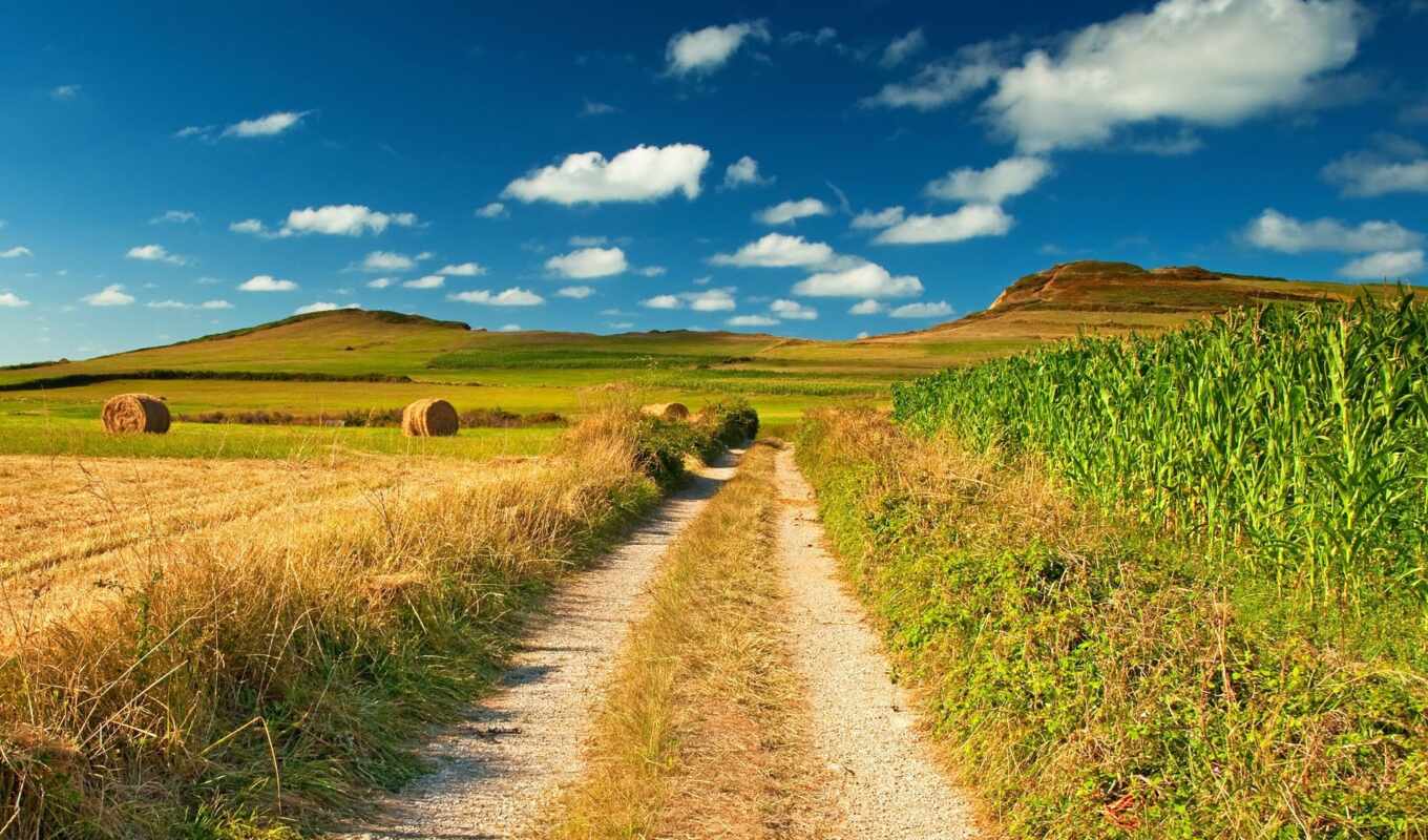nature, sky, summer, road, field, blue, hay, vision, corn, settlement