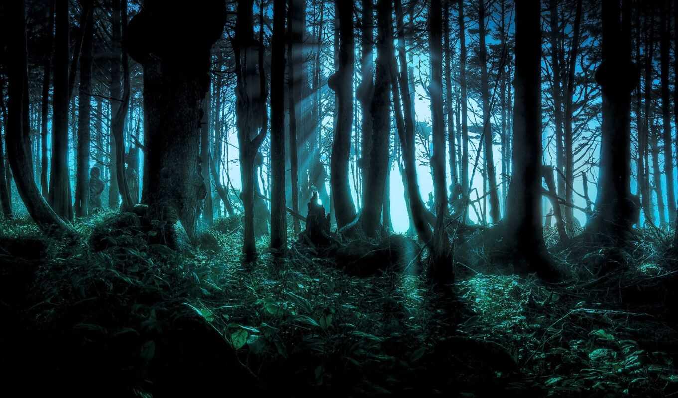 forest, forest, dark, pinterest, tree, it's scary