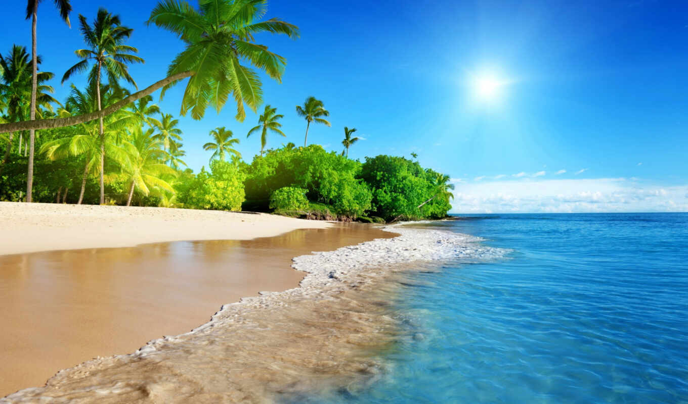 природа, summer, sun, дерево, пляж, море, лет, vacation