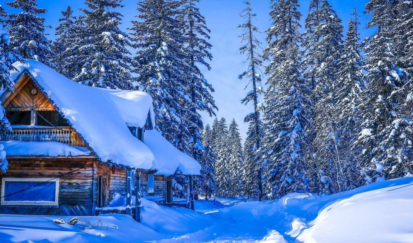 winter, россия, снег, хабаровск, trees, край, лес, гора, house, 