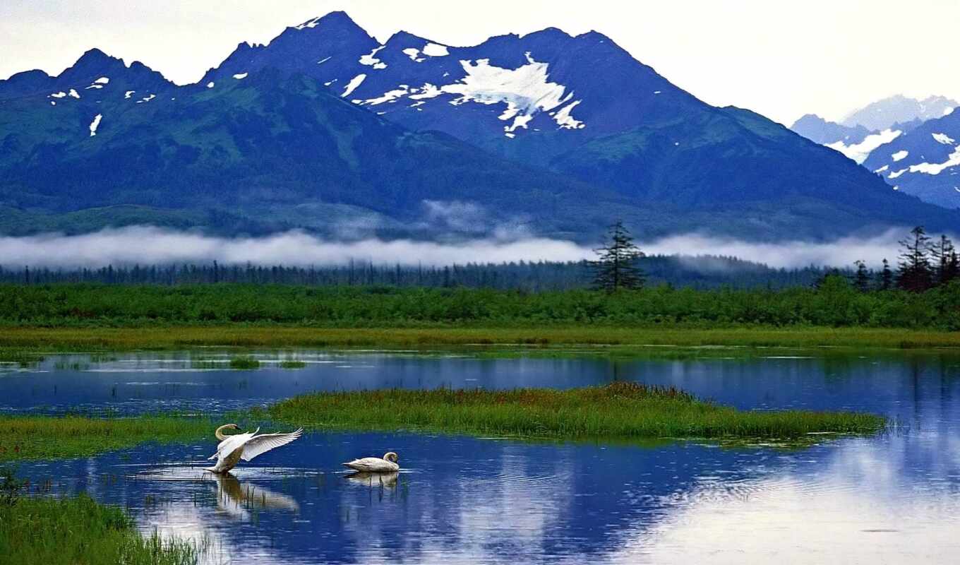 the, scenery, alaska, mount, cnn
