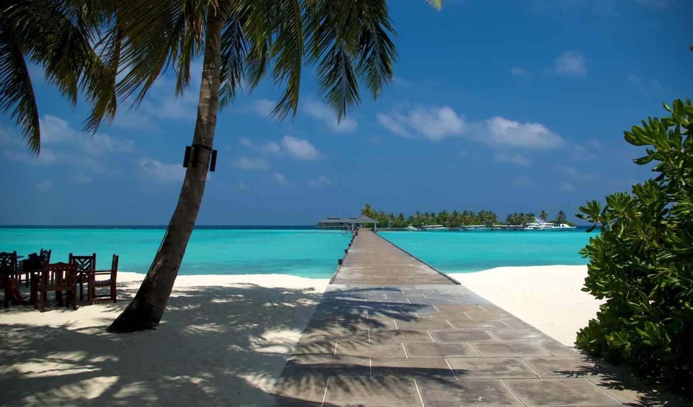 summer, island, ocean, palm, maldives, bungal, maldive