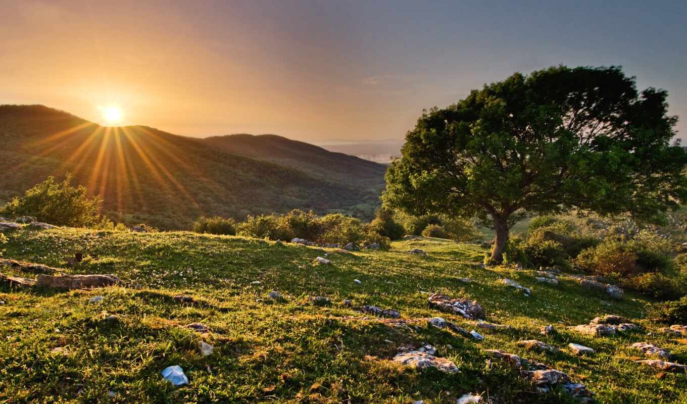 nature, sun, tree, sunset, spring, rays, colour, backgrounds, hills