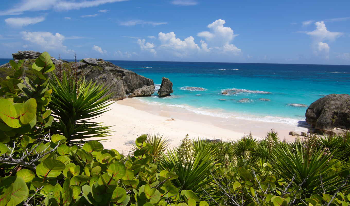nature, summer, picture, beach, coast, island, coast, park, south, bermuda