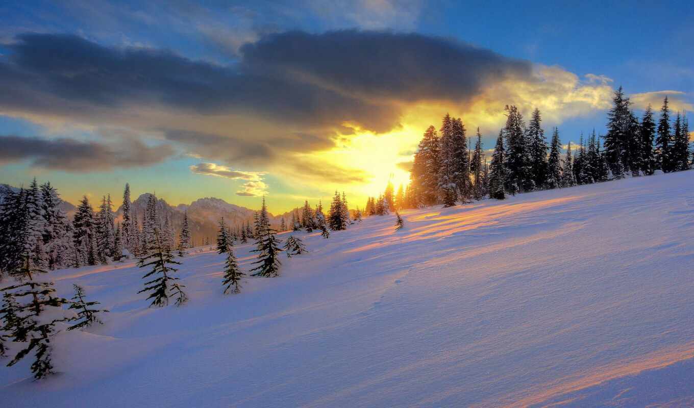природа, desktop, sun, дерево, закат, снег, winter, основные моменты, trees, landscapes