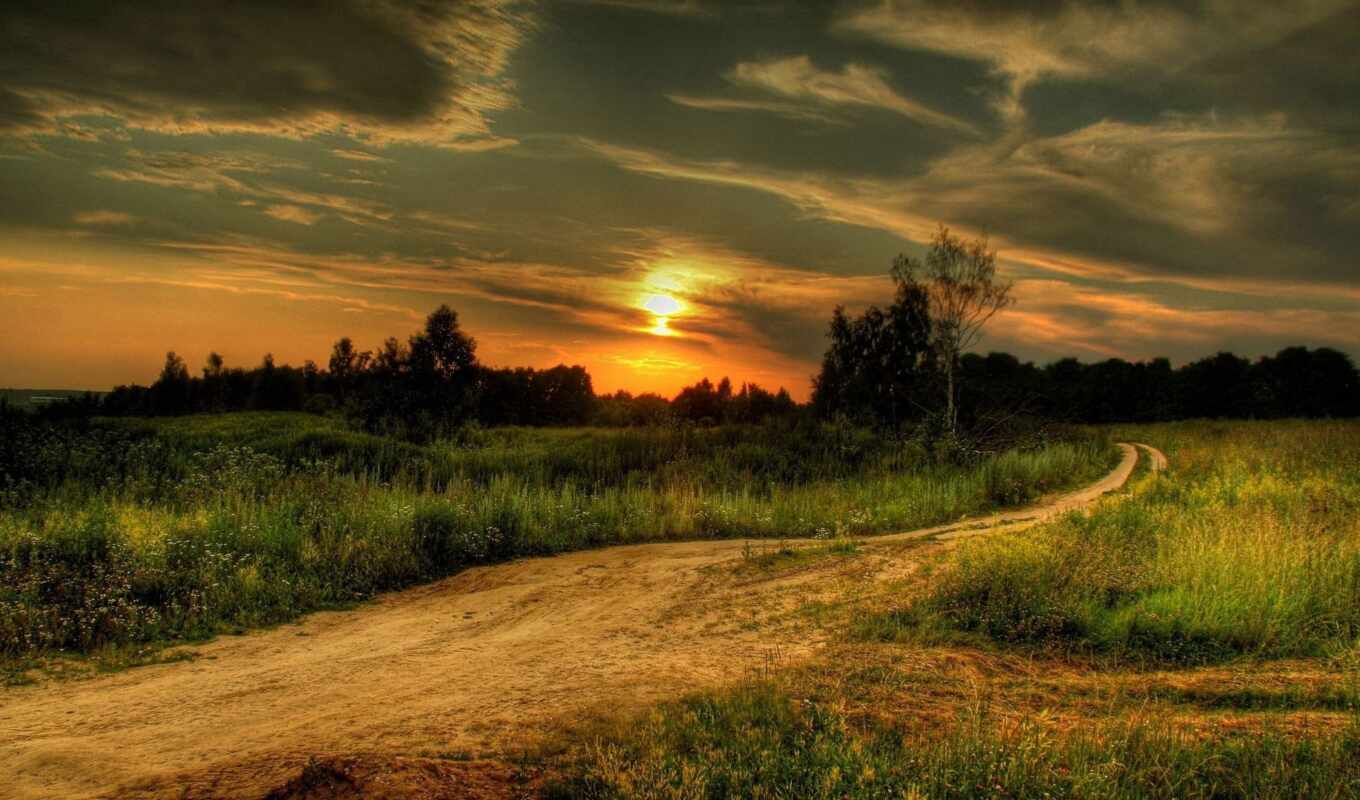 sky, grass, sunset, forest, road, field, evening, signature, twilight, settlement