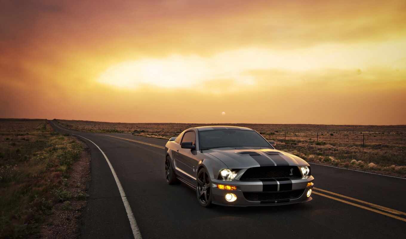 ford, mustang, shelby, https, машины