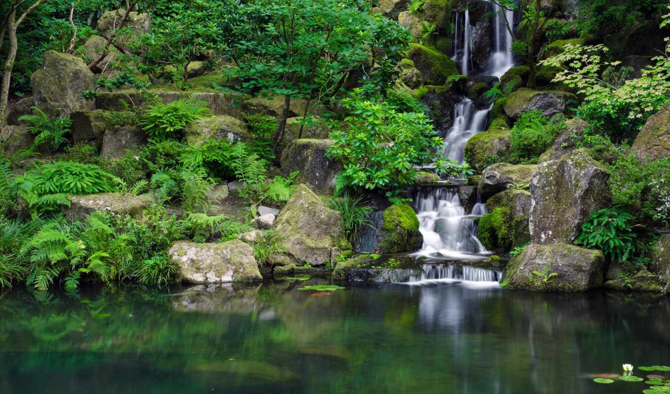 japanese, garden, pond, waterfall