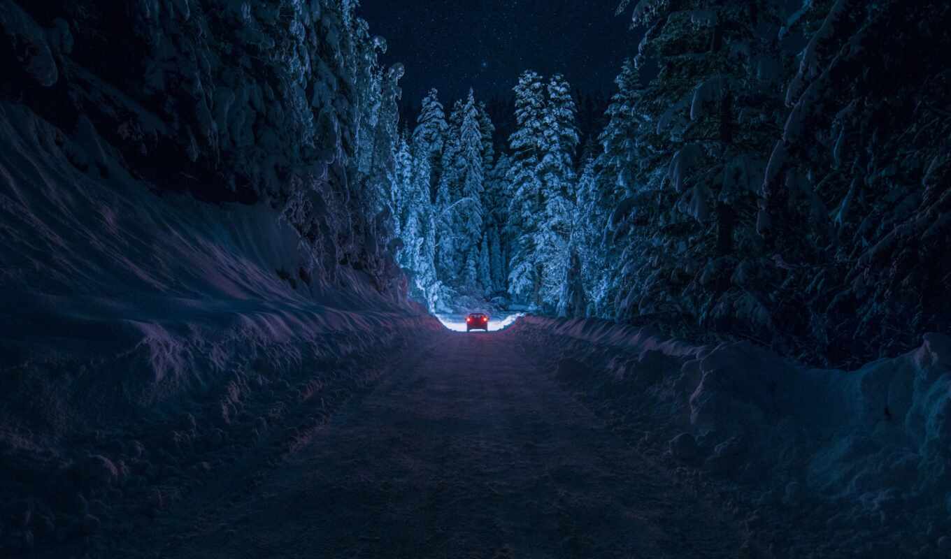 nature, light, night, snow, winter, forest, road, kustendil, Bulgaria