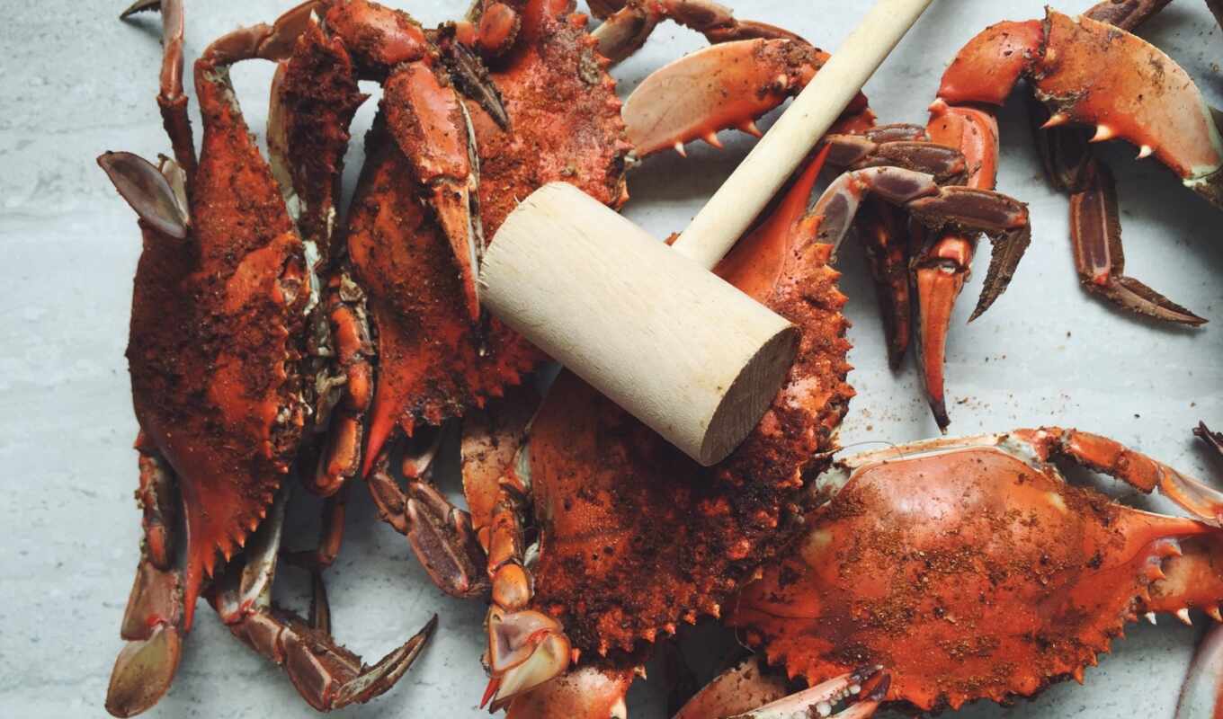 еда, animal, lobster, camron, crab, wallhaven, decapoda, dungeness, гомарус, гаммарус