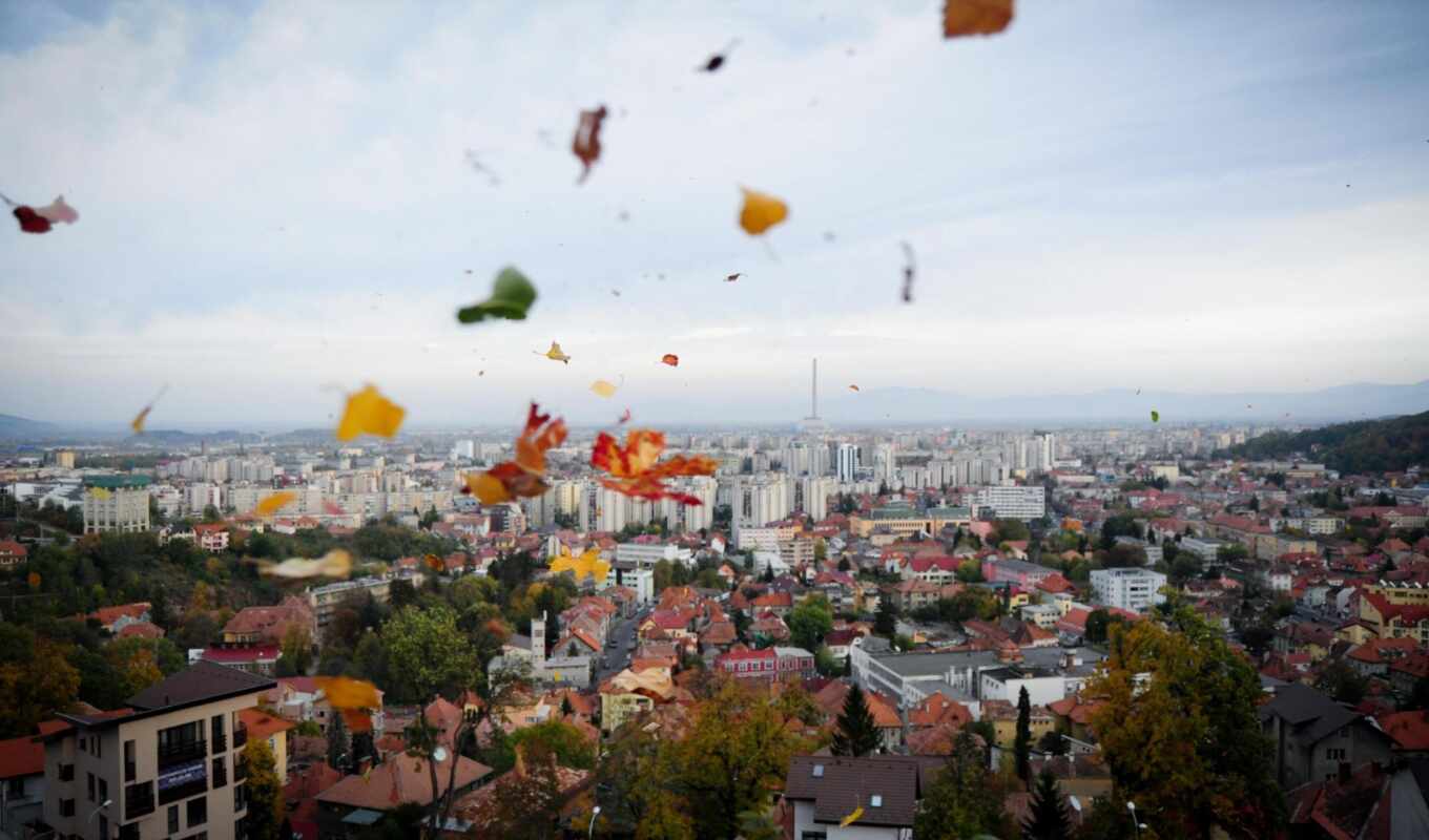 map, city, autumn, day, leaf, romania, song, winmentor, above
