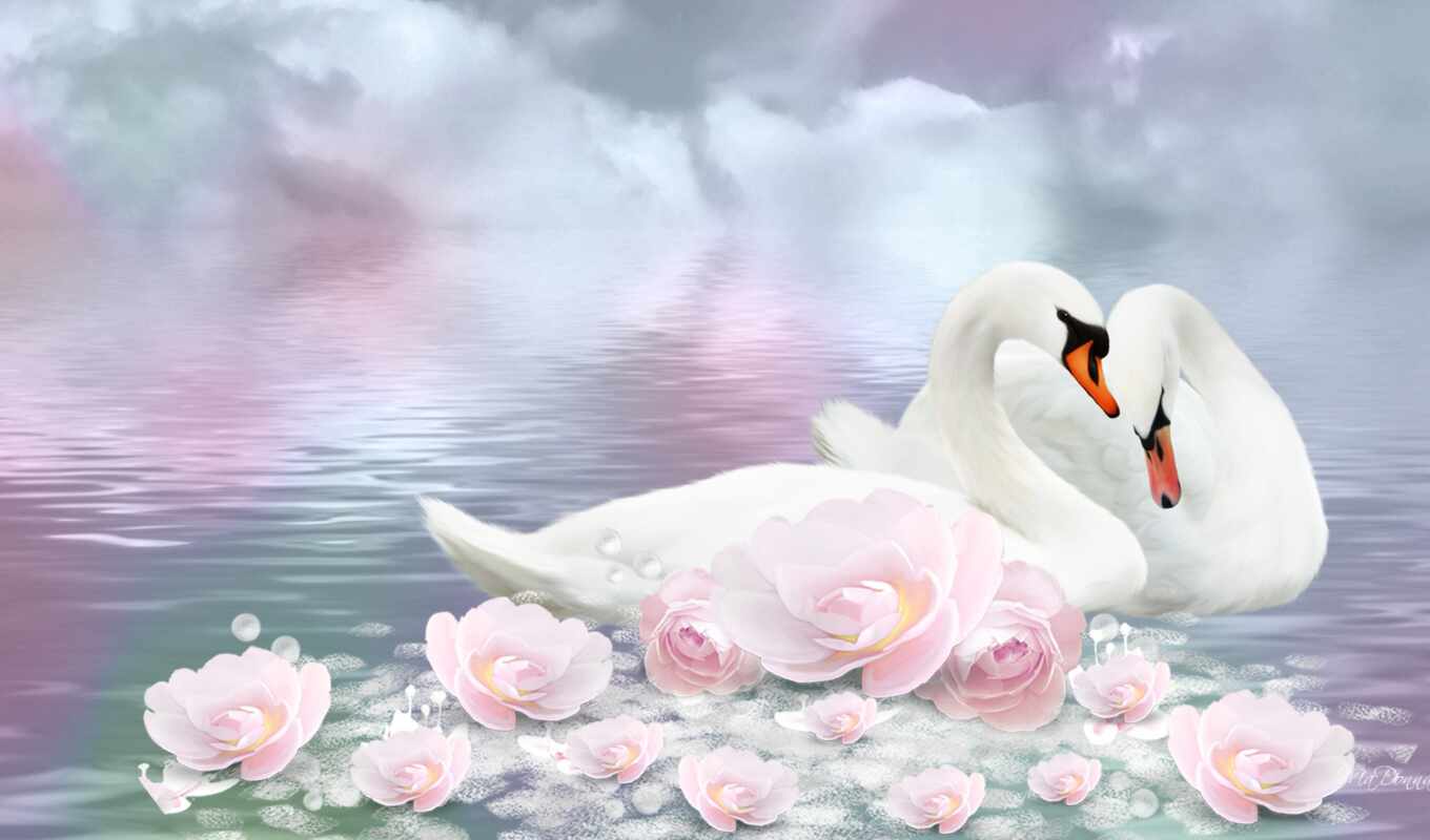 flowers, paint, diamond, cloud, bird, animal, lotus, reflection, swan, artistic