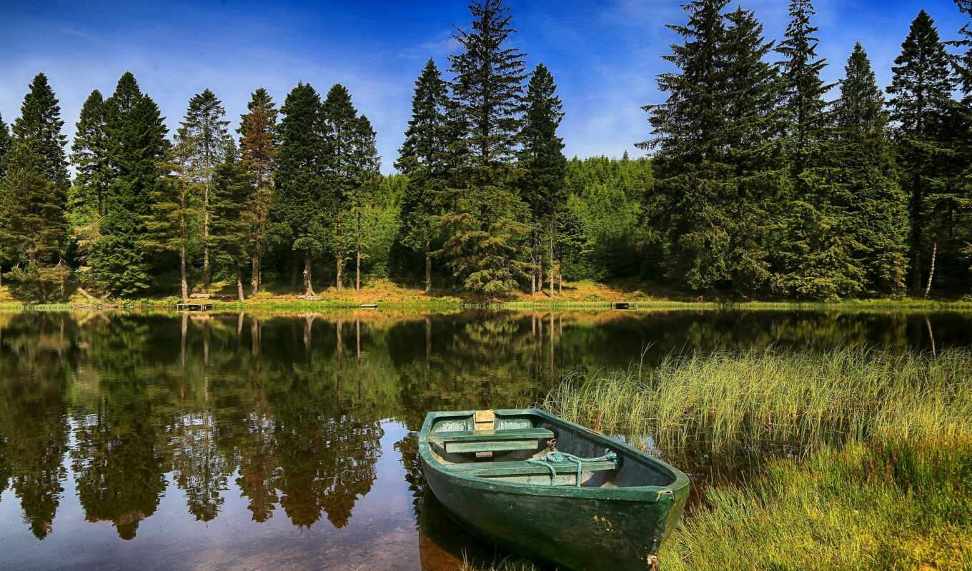 lake, summer, tree, forest, river, reflection, a boat, fore