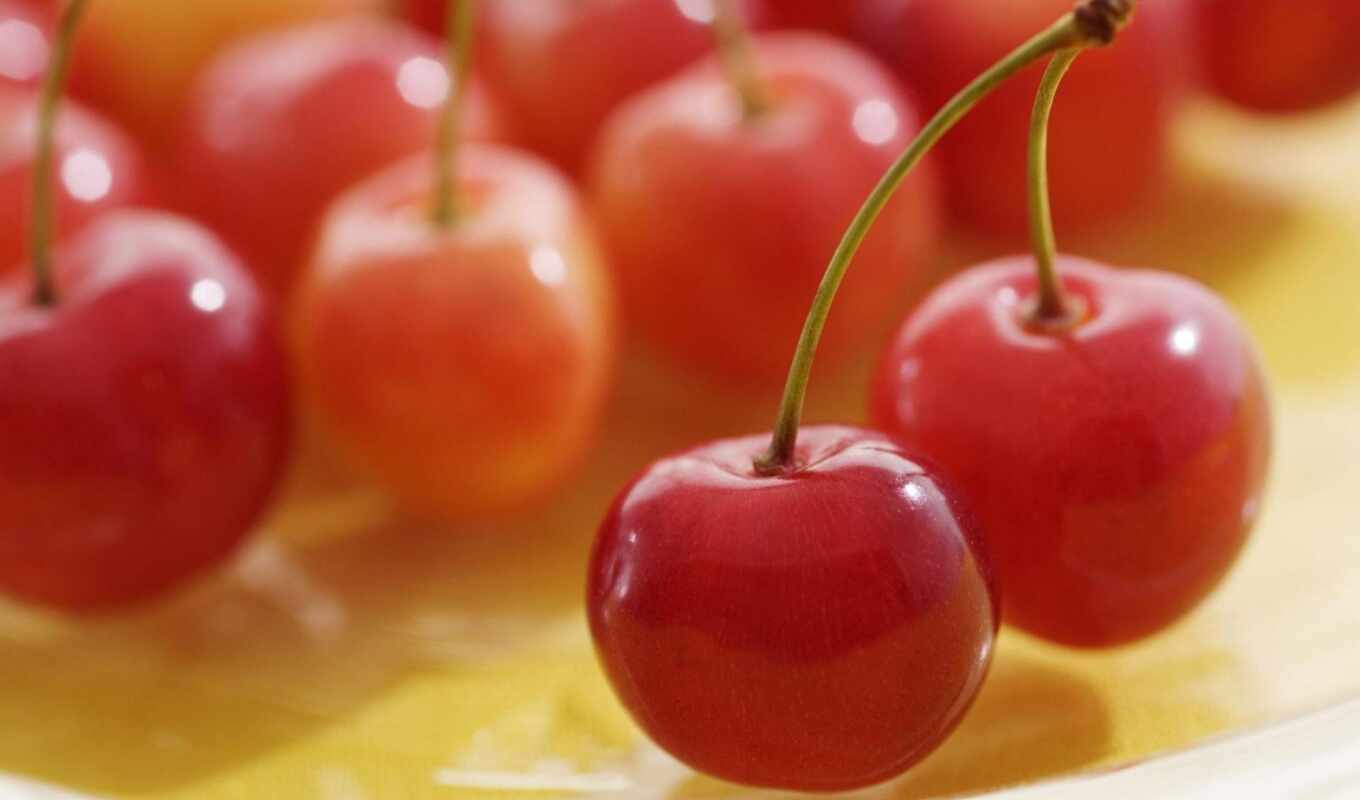 free, red, cherry, one, плод, seed, meal, собрать, качественные, fonwall