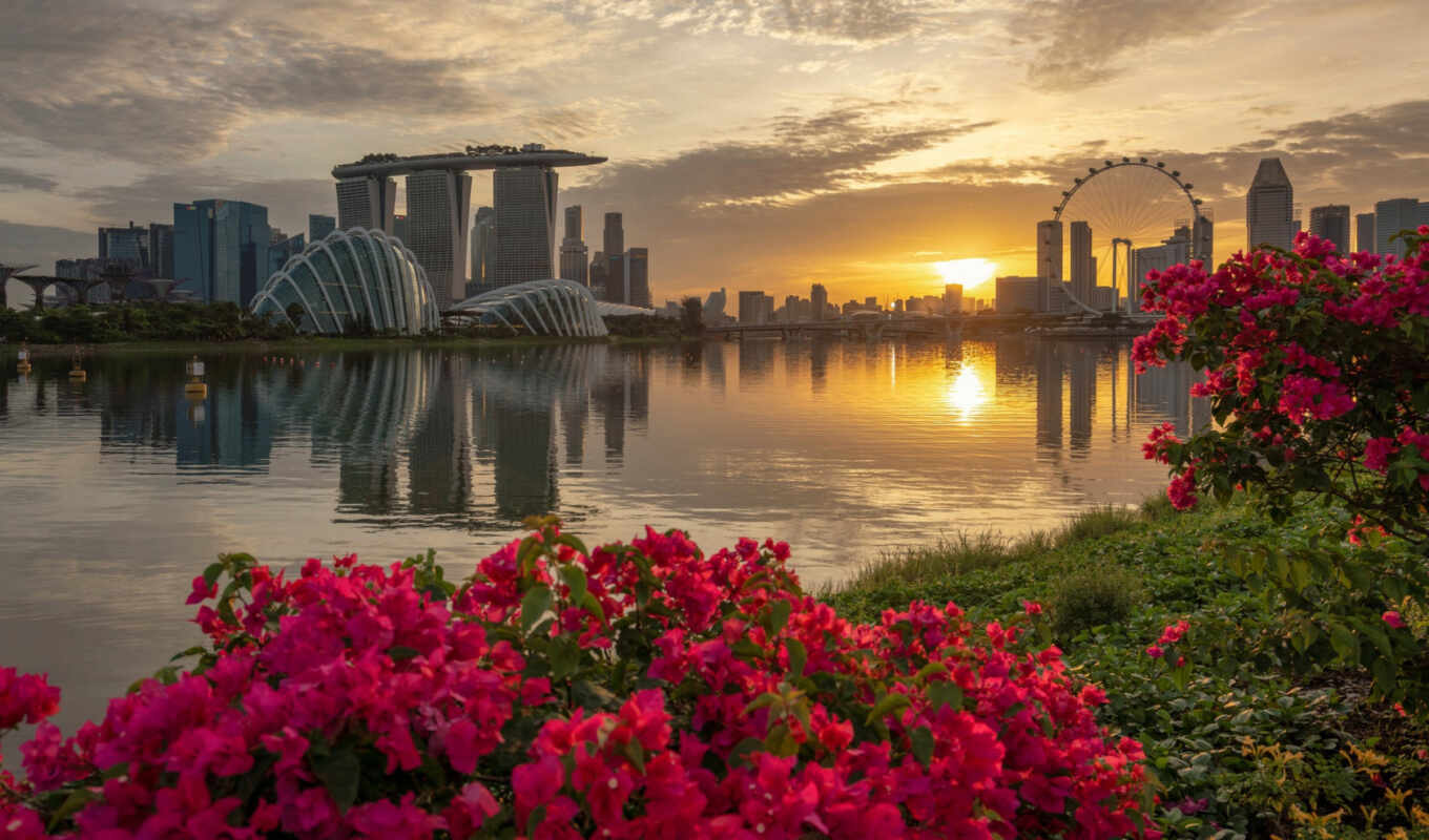 небо, цветы, you, digital, закат, new, город, день, горизонт, singapore, приветствие