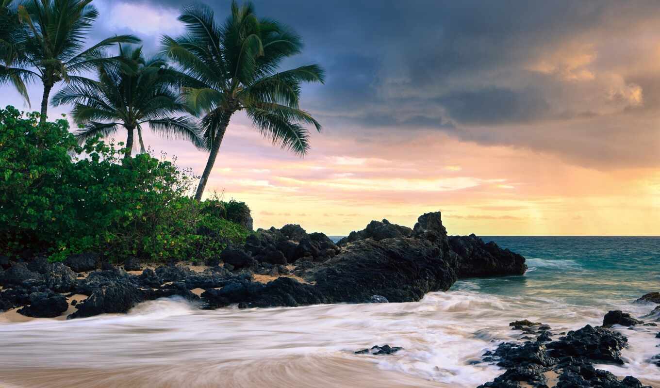 free, фон, монитор, закат, пляж, море, palm, tropical, zone, hawaiian