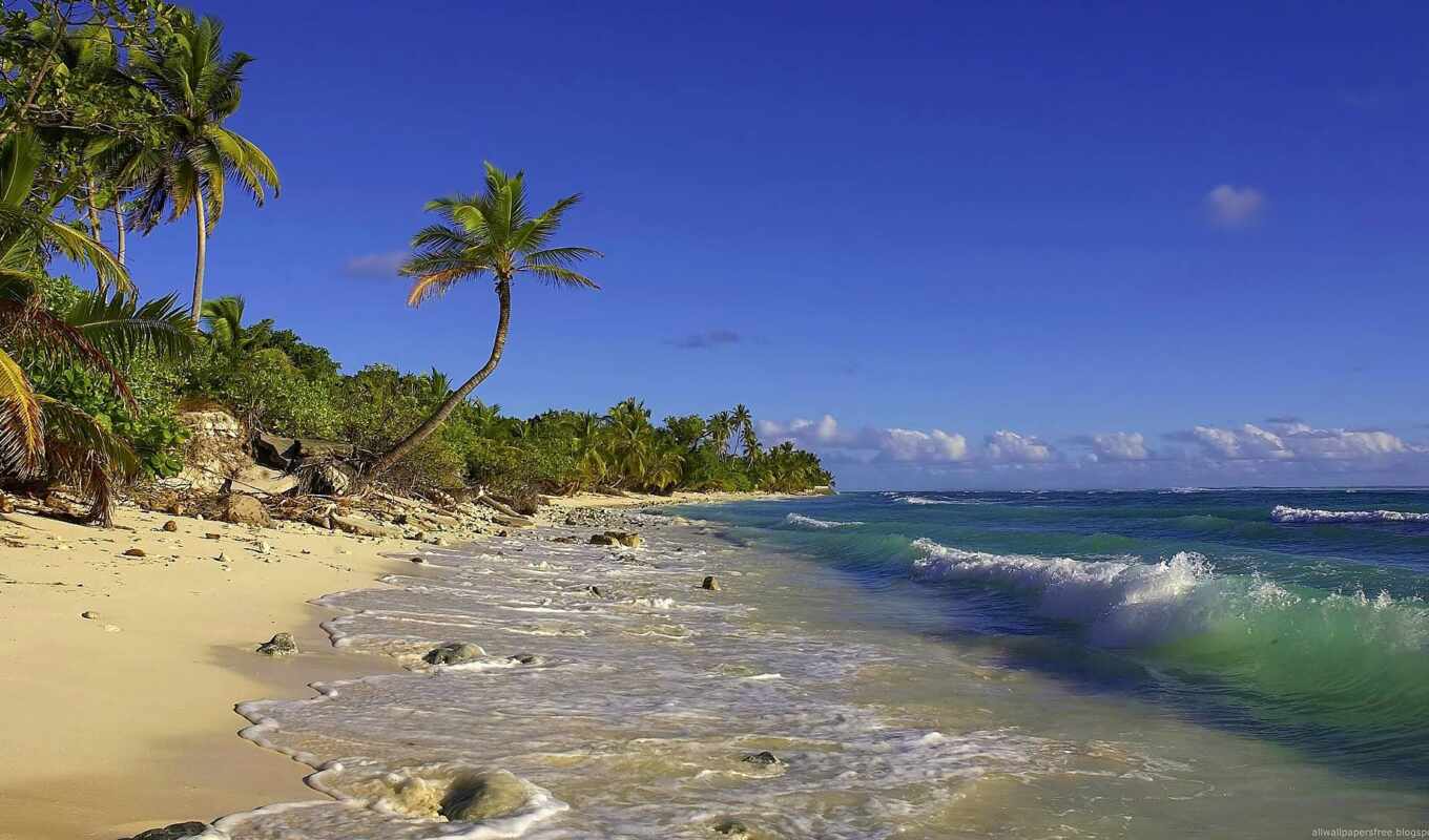 фото, пляж, австралия, остров, premium, kokosinseln
