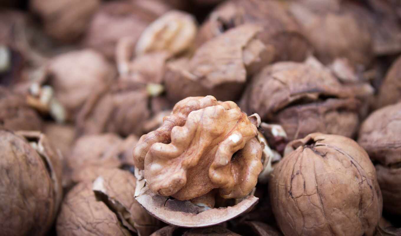 history, why, nut, greek nuts