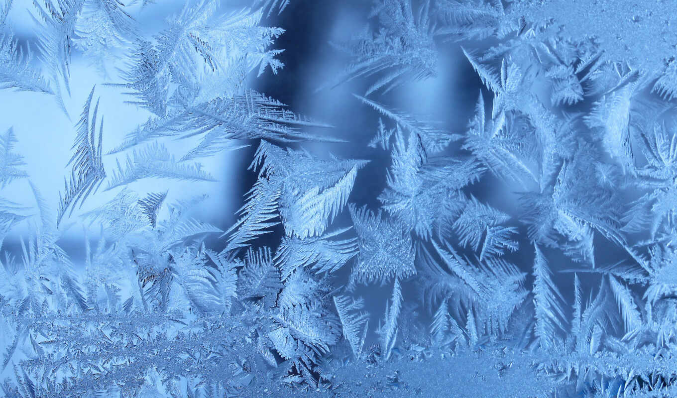 window, frost, winter, frosty, frozen