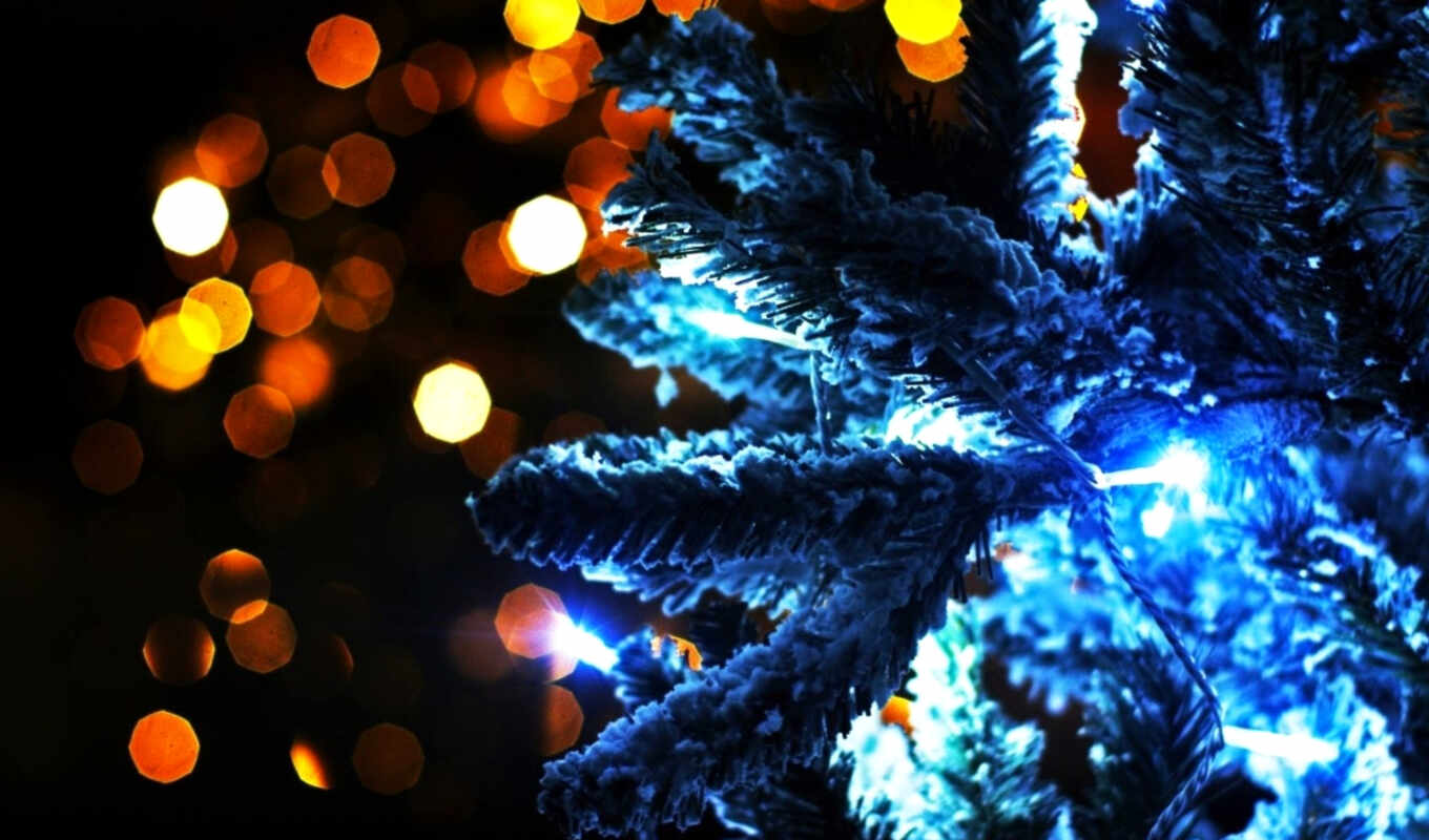 picture, new, lights, year, magic, holiday, fir, lights, Christmas tree